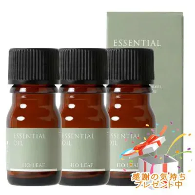 Tree of life 生活の木 エッセンシャルオイル ホーリーフ 精油 3mL 3個セット プレゼント付 ※外箱折りたたむ場合がございます※
