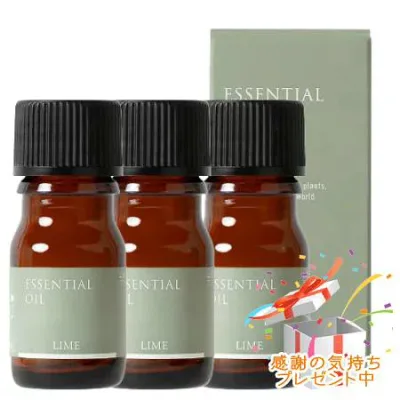 Tree of life 生活の木 エッセンシャルオイル ライム 精油 3mL 3個セット プレゼント付 ※外箱折りたたむ場合がございます※