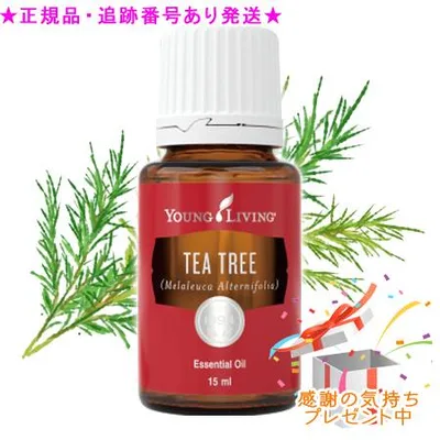 YOUNG LIVING ヤング・リビング シングルエッセンシャルオイル ティートゥリー 15mL プレゼント付