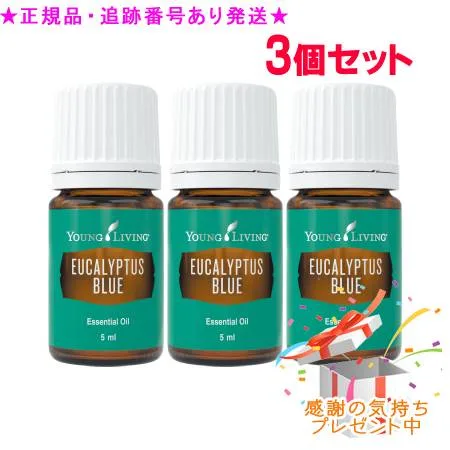 YOUNG LIVING ヤング・リビング シングルエッセンシャルオイル ユーカリ ブルー 5mL 3個セット プレゼント付