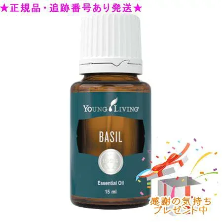 YOUNG LIVING ヤング・リビング シングルエッセンシャルオイル バジル 15mL プレゼント付