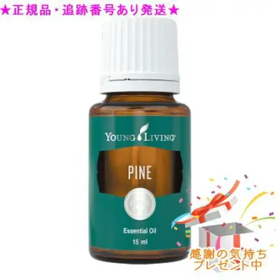 YOUNG LIVING ヤング・リビング シングルエッセンシャルオイル パイン 15mL プレゼント付