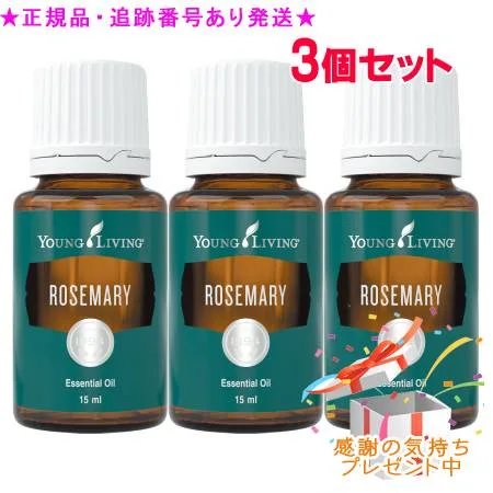 YOUNG LIVING Single Essential Oil Rosemary 15mL ชุด 3 ชิ้นพร้อมของขวัญ
