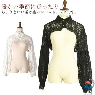 【全品2点で5%OFF】つけ襟 レディース 付け襟 インナー襟 レーストップス シアー レースブラウス 長袖 インナー 付け袖 総レース レイヤード 重ね着 インナー 無地 フォーマル オフィスカジュアル ブラッ