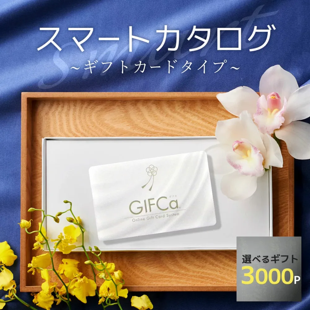 【LINE登録で すぐ使えるクーポン お得に配布】 カタログギフト カードタイプ (3000ポイント) ポイント制 グルメギフト スイーツ 内祝い 出産祝い 入学祝い 快気祝い 引越し お返し 香典返し 弔事 シニア 冊子 ラッピング ギフトカタログ 3000円コース【ブロア特集】