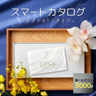 【LINE登録で すぐ使えるクーポン お得に配布】 カタログギフト カードタイプ (3000ポイント) ポイント制 グルメギフト スイーツ 内祝い 出産祝い 入学祝い 快気祝い 引越し お返し 香典返し 弔事 シニア 冊子 ラッピング ギフトカタログ 3000円コース【ブロア特集】