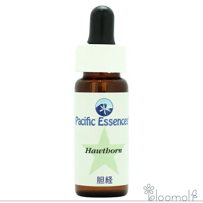 フラワーエッセンス パシフィックエッセンス ツリーエッセンス ホーソン Hawthorn