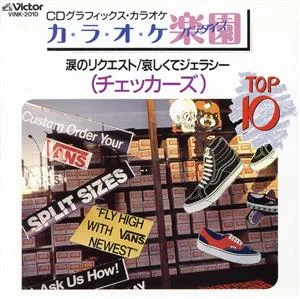 カラオケ楽園 TOP10 チェッカーズ