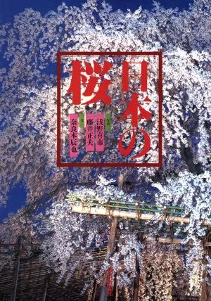 写真集 日本の桜