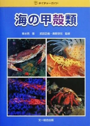 海の甲殻類 ネイチャーガイド
