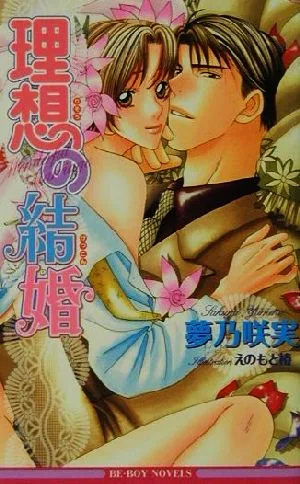 理想の結婚 ビーボーイノベルズ