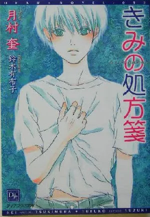 きみの処方箋 ディアプラス文庫
