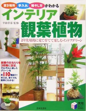 インテリア観葉植物 置き場所・手入れ・殖やし方がわかる