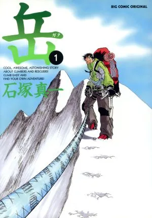 岳(1) ビッグC