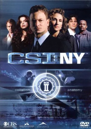 CSI:NY コンプリートDVD BOX-2