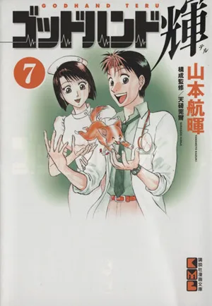 ゴッドハンド輝(文庫版)(7) 講談社漫画文庫