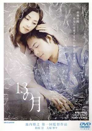 13 เดือน