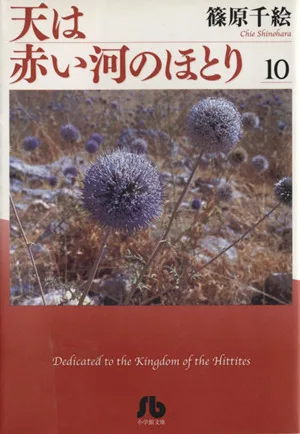 天は赤い河のほとり(文庫版)(10) 小学館文庫