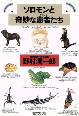 ソロモンと奇妙な患者たち