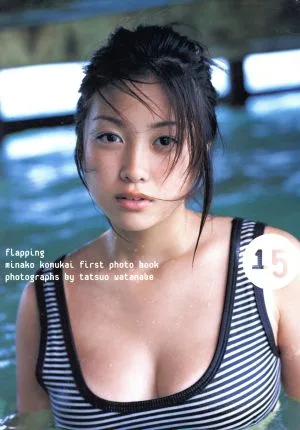 flapping 小向美奈子写真集