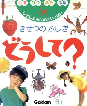 きせつのふしぎ どうして? しぜんはふしぎがいっぱい はる・なつ・あき・ふゆ