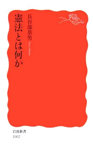 憲法とは何か 岩波新書