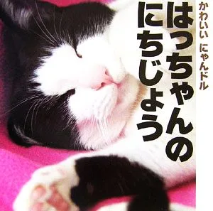はっちゃんのにちじょう かわいいにゃんドル 講談社こどもクラブ3