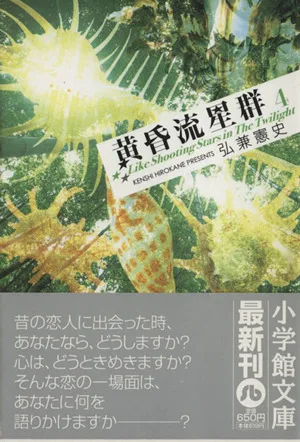 黄昏流星群(文庫版)(4) 小学館文庫