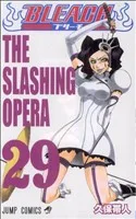 BLEACH-ブリーチ-(29) ジャンプC