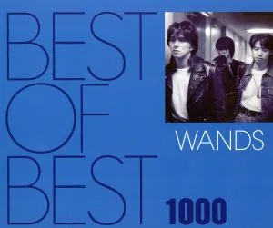BEST OF BEST 1000 WANDS