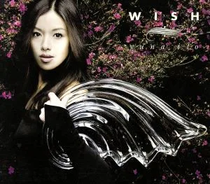 WISH(初回生産限定盤)(DVD付)
