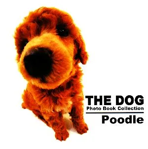 Poodle THE DOG Photo Book Collection
