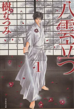 八雲立つ(文庫版)(1) 白泉社文庫