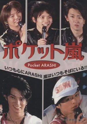 ポケット嵐