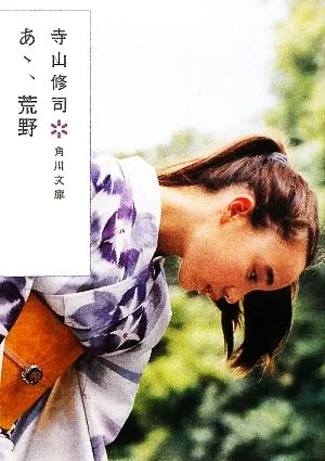 あゝ、荒野 角川文庫