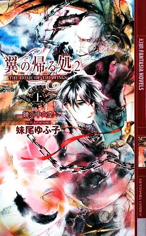翼の帰る処2 鏡の中の空(上) 幻狼ファンタジアノベルス