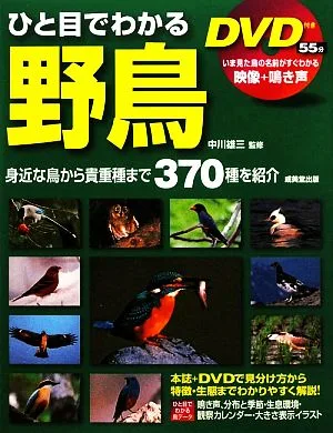 ひと目でわかる野鳥