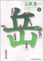岳(12) ビッグC