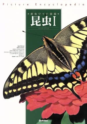 昆虫 1 新版