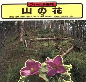 Mountain flowers (2) Subalpine/riverland/coniferous forest/shrub forest/grass field/around snowy fields/collapsed land/stream/headwaters/wetland field 100 flowers