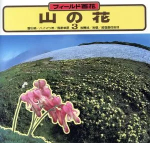 山の花(3) フィールド百花