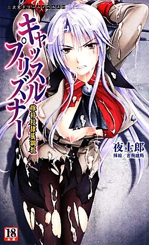 キャッスルプリズナー 雌将校隷属調教 二次元ドリームノベルズ