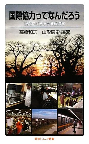 国際協力ってなんだろう 現場に生きる開発経済学 岩波ジュニア新書