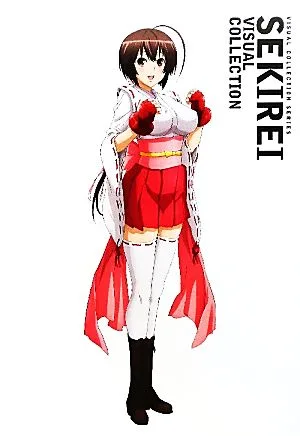 セキレイVISUAL COLLECTION VISUAL COLLECTIONシリーズ