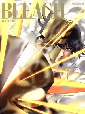 BLEACH 破面・滅亡篇 4(完全生産限定版)