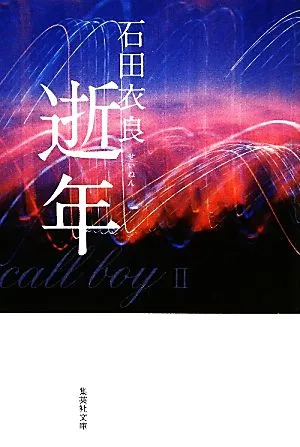 逝年 集英社文庫
