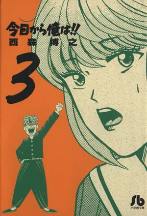 今日から俺は!!(文庫版)(3) 小学館文庫