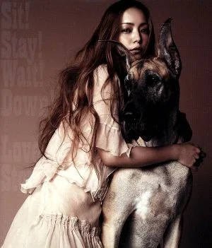 Sit!Stay!Wait!Down!/Love Story