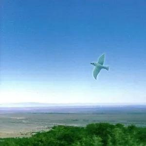 ブルー・バード・ブルー