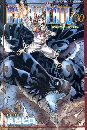 FAIRY TAIL(30) マガジンKC